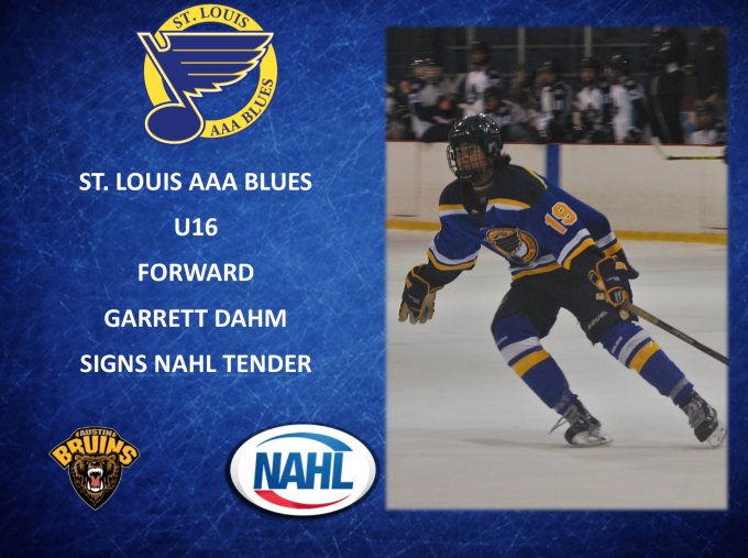 St.Louis Blues AAA powered by 0